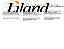 Tablet Screenshot of lilandit.com